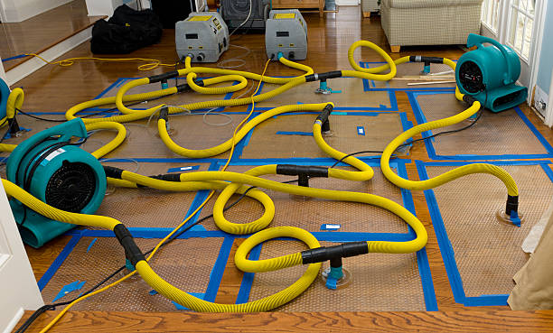 Professional Sewage Cleanup technician working in Clarksville, AR